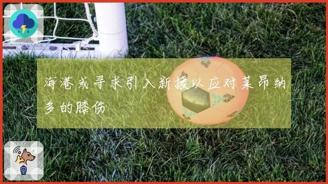 海港或寻求引入新援以应对莱昂纳多的膝伤