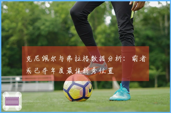 克尼佩尔与弗拉格数据分析：前者或已夺年度最佳新秀位置