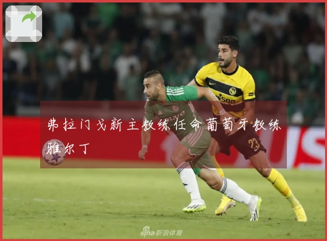 弗拉门戈新主教练任命葡萄牙教练雅尔丁